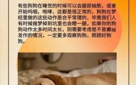 梦见狗是什么意思？解梦大师解析狗梦的10种寓意