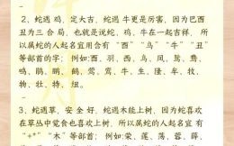 2025年最新男宝宝名字大全，好听有寓意的男孩名字推荐