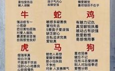 十载难逢四方运打一生肖谜底揭晓，十二生肖运势解析