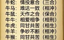 牛属相最佳婚配属相揭秘，属牛人和这几个属相最合拍