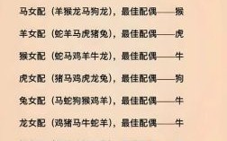 龙和什么属相最配？12生肖婚配宜忌大解析