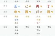 壬戌日柱八字论命解析：生辰八字命理特征与运势详解