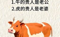 属牛女最佳婚配属相 属牛女和哪些生肖最相配