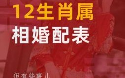 属蛇的最佳婚配属相，属蛇人配对指南