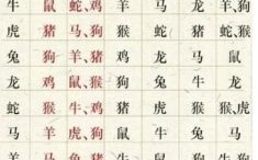 2025年十二生肖运势详解：生肖运程大全及每月运势预测