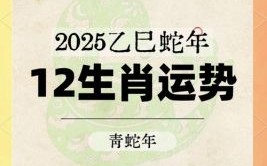 2025年11月29日易鑫生肖运势解析：今日十二生肖运程指南