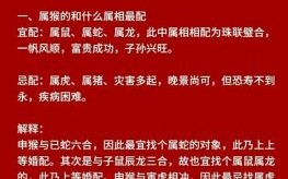 属猴的最佳婚配属相，属猴人配对运势解析