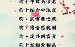 属狗的最佳婚配属相揭秘，生肖配对解析与运势指南