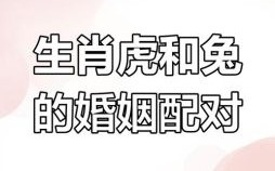 属虎的最佳婚配属相，属虎人和什么属相最合婚