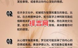 梦见两条蛇预示什么？解析双蛇梦境的神秘含义