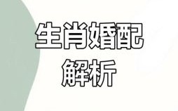 猪与哪些属相最相配？生肖猪最佳婚配属相解析