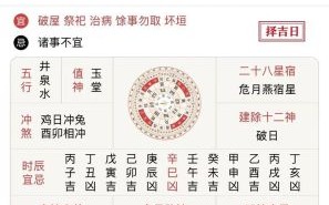 2025年11月卖鸡黄道吉日 2025年11月卖鸡好日子查询