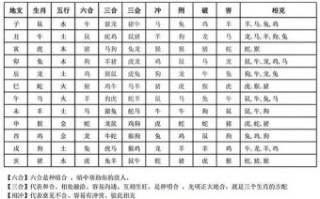 男属龙最佳婚配属相，属龙男和什么属相最合适