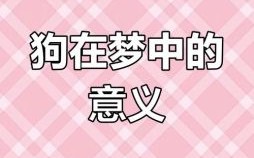 女人梦见狗的10种预兆解析，周公解梦告诉你吉凶