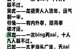 2025年十二生肖运势详解：属相运程全解析