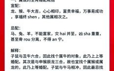 鼠与哪些属相最相配？生肖鼠最佳婚配属相解析