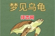 梦见乌龟的寓意解析：周公解梦详解乌龟象征含义