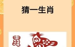 四出一来八有运打一生肖"谜底解析：生肖运势大揭秘