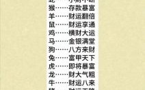 变化无穷运奇功猜一生肖，最佳答案揭晓！