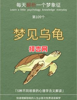 梦见乌龟的寓意解析：周公解梦详解乌龟象征含义-第1张图片