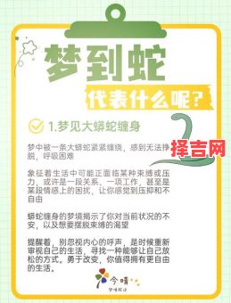 梦见好多蛇是什么预兆?周公解梦揭示7种吉凶暗示-第1张图片 梦见好多蛇是什么预兆?周公解梦揭示7种吉凶暗示-第1张图片
