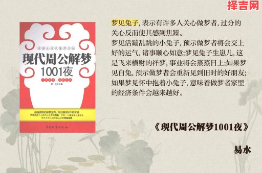 梦见兔子的寓意和象征解析 - 周公解梦详解-第1张图片