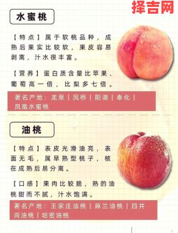 梦见摘桃子预示什么？周公解梦揭秘桃子象征意义-第1张图片