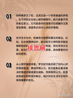 梦见两条蛇预示什么？解析双蛇梦境的神秘含义-第1张图片