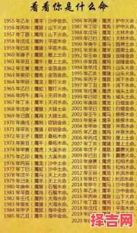 二四两位运中特打一生肖谜底解析，生肖运势大揭秘-第1张图片