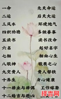 一命二运三风水生肖解析：揭秘运势与属相命理关系-第1张图片