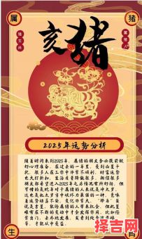 2025年香港码报十二生肖运程解析：财运事业爱情全预测-第1张图片