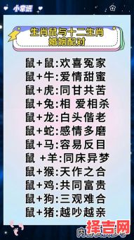 生肖鼠下月桃花运解析，爱情运势大揭秘！-第1张图片