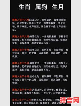 18年属狗人12月运势解析：事业财运健康爱情全指南-第1张图片