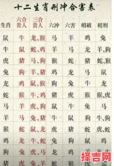 2025年十二生肖运势详解：生肖运程大全及每月运势预测-第1张图片