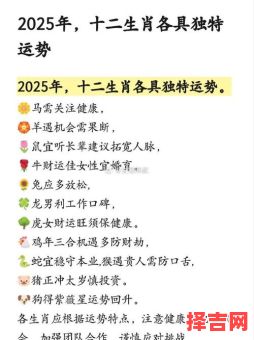 2025年生肖运势解析：06年出生者全年运程指南-第1张图片