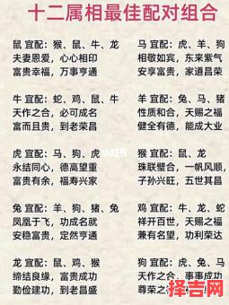 马和什么属相最配？生肖配对解析与婚配宜忌-第1张图片