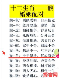 羊的最佳婚配属相是什么？生肖羊配对宜忌解析-第1张图片