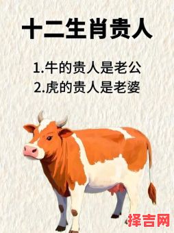 属牛女最佳婚配属相 属牛女和哪些生肖最相配-第1张图片