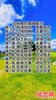 兔与哪些属相最配？12生肖婚配解析与最佳配对指南-第1张图片