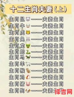 属龙的最佳婚配属相 龙年出生者姻缘配对解析-第1张图片