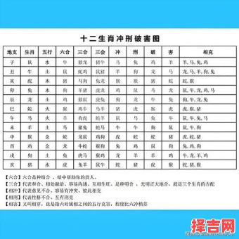 男属龙最佳婚配属相，属龙男和什么属相最合适-第1张图片