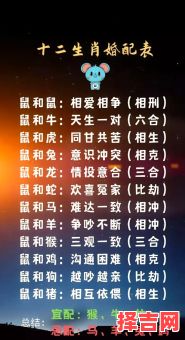 属鼠的和什么属相最配？生肖配对解析与婚配建议-第1张图片