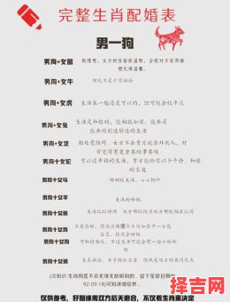 属相狗的最佳婚配属相，揭秘最合拍的生肖配对-第1张图片