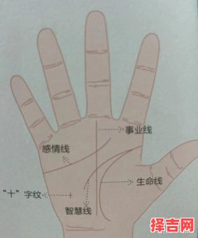 手又白又嫩代表什么命格？揭秘手相与运势的关联-第1张图片