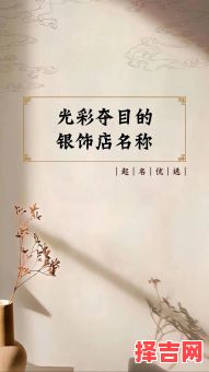 银饰店铺名字大全，时尚银饰店名推荐与取名技巧-第1张图片