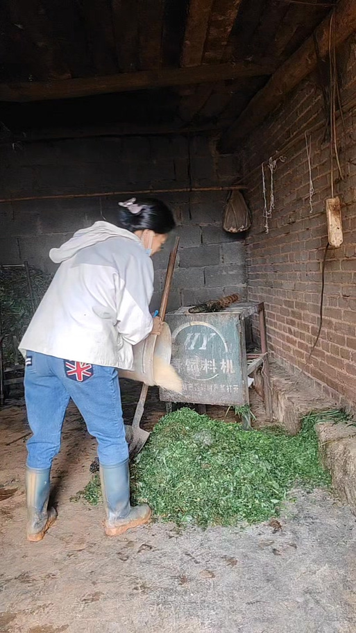 2026年4月安放猪槽吉日 2026年4月猪槽安装吉日推荐-第1张图片 2026年4月安放猪槽吉日 2026年4月猪槽安装吉日推荐-第1张图片